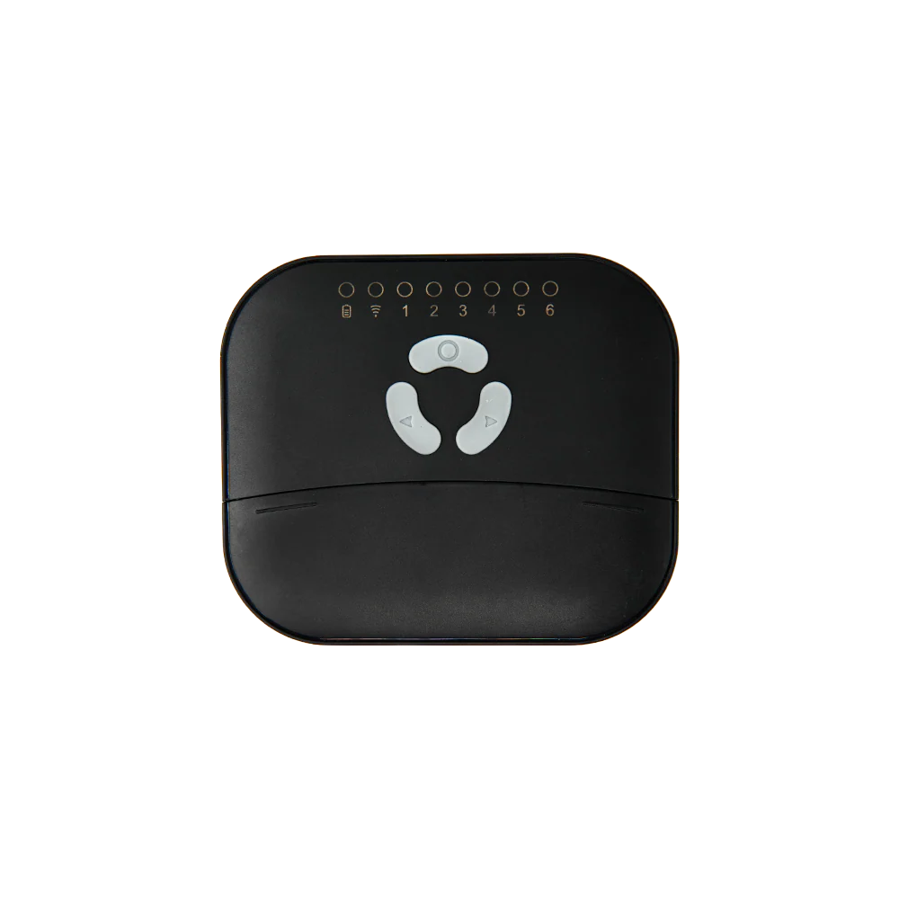 frankever controler inteligent pentru irigatii, powered by shellyx, home assistant